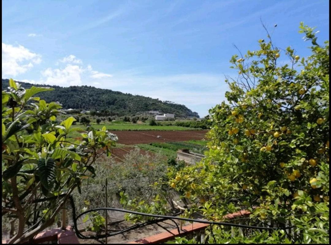 Appartement Casa Dei Limoni à Peschici Extérieur photo